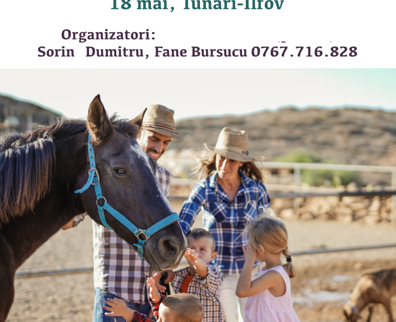 targ international de cai, oi si caini de rasa