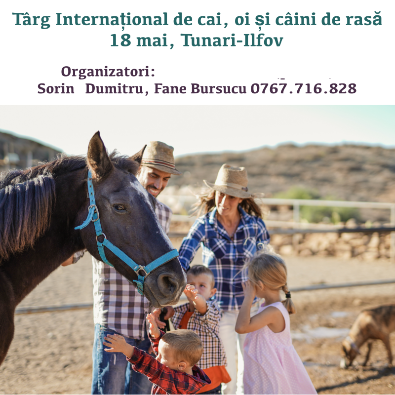 targ international de cai, oi si caini de rasa